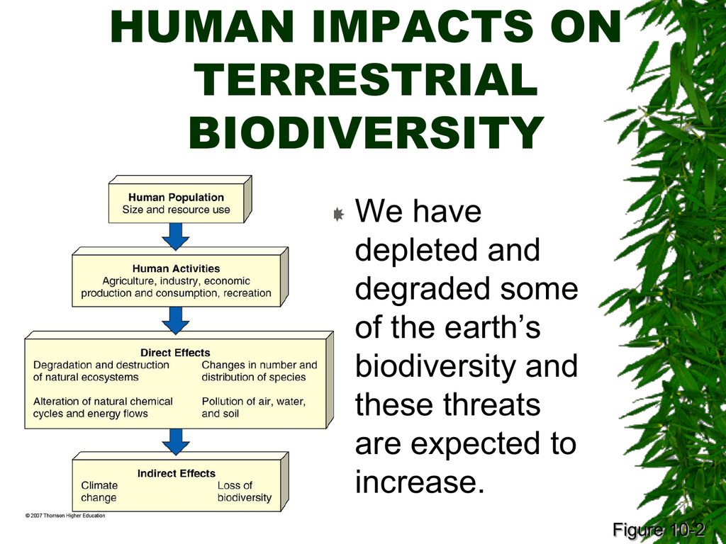 Biodiversity Endangered Species