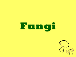 Fungi - Ms. Racette's Wiki