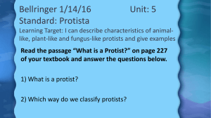 Read the passage “What is a Protist?”
