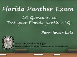 Florida Panther Presentation WILD Weekend 2015