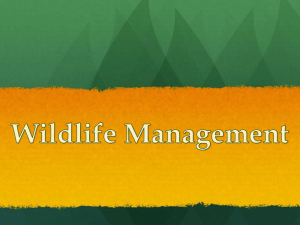 Wildlife Management