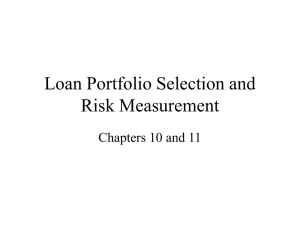 Loan Portfolio Selection and Risk Measurement