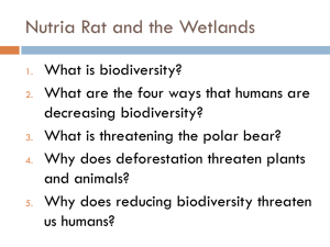 3.7 Nutria Rat and Wetlands