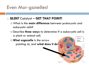1.5 Protein Organelles