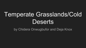 Temperate Grasslands/Cold Deserts