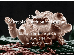 4-5-microbialnutritionandculture-110221052646