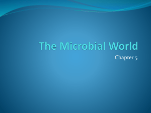 The Microbial World