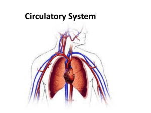 Circulatory System - Elgin Local Schools