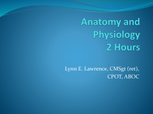 Anatomy 2015 - Lynn's Lecture Help