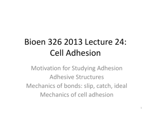 Lecture 25 2013 Bioe..
