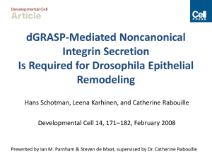 dGRASP-Mediated Noncanonical Integrin Secretion Is Required for