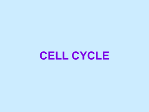 Cell_Cycle