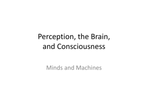 The Puzzle of Consciousness - Cognitive Science Department