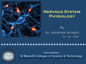004 CNS lecture 4 Sensory System - 2 Dr Shahab