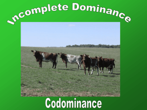 Incomplete-Codominance