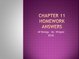 Chapter 11 Homework Answers