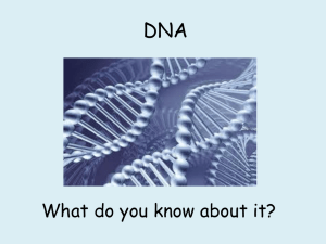 DNA - WordPress.com