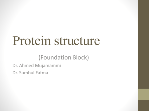 2-Protein structure.ppt