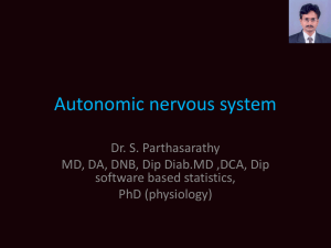 Autonomic nervous system MGMC