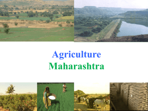 Agriculture Profile Maharashtra