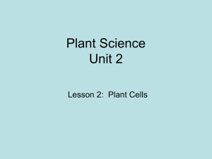 Cell structure Part 1