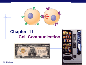 Chapter 11 Cell Communication
