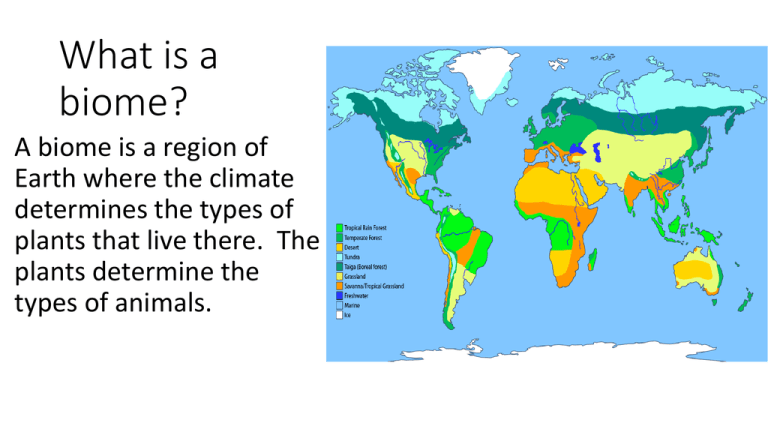 What Is A Biome Worksheet Answers