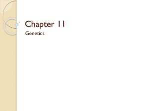 Chapter 11&14 ppt