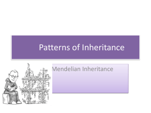 Patterns_of_Inheritance_1