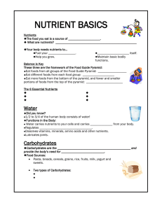 nutrient basics