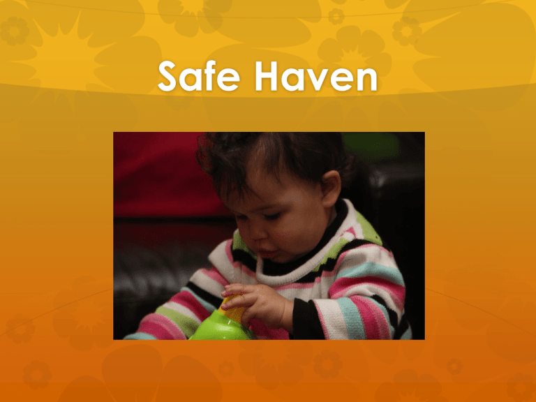 safe-haven-laws-waller