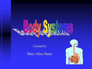 Body System 2