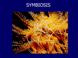 symbiosis - Cal State LA - Instructional Web Server