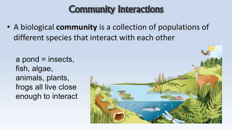 Community Interaction