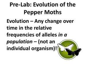 Evolution of the Pepper Moths