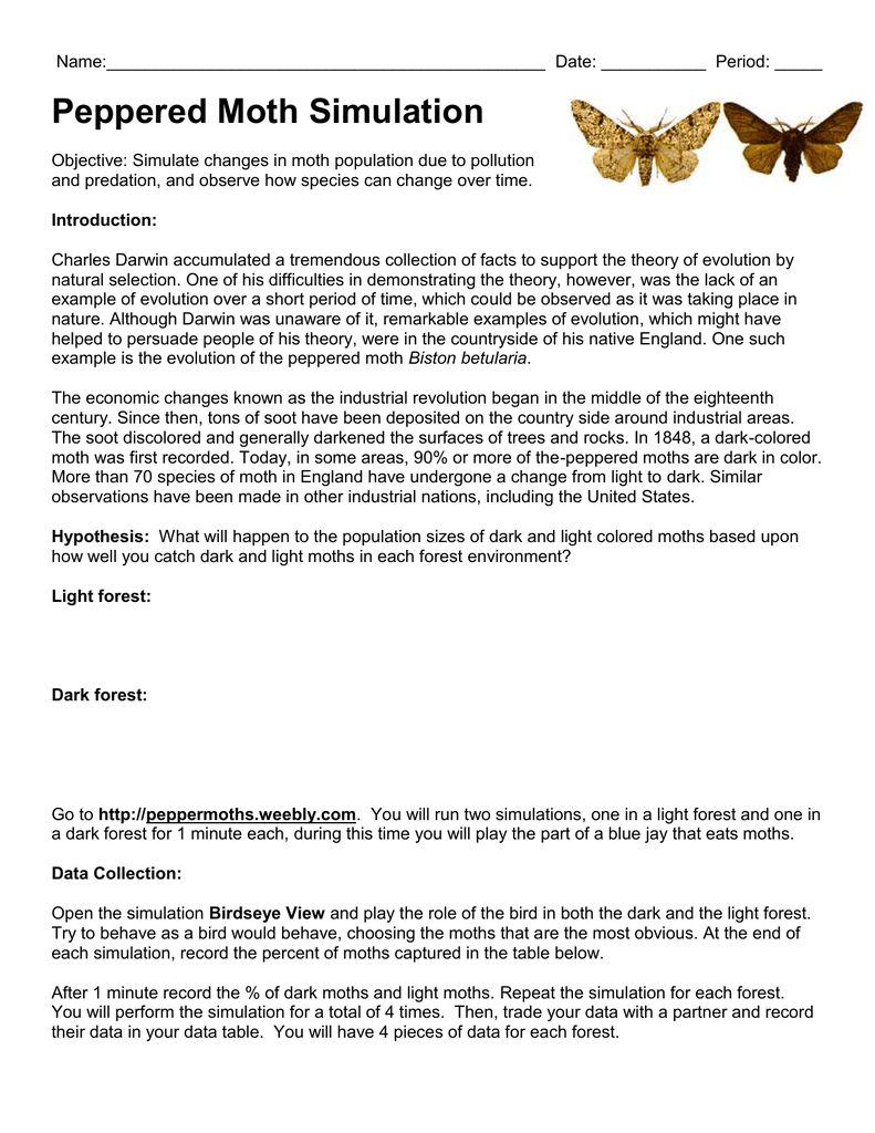 05 Peppered Moth Virtual Lab