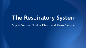 The Respiratory System