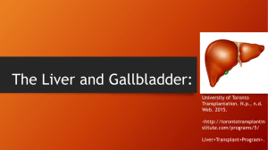 The Liver and Gallbladder - HBS