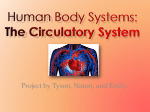 Human Body Systems: The Circulatory System