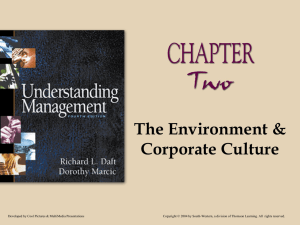 Chapter 03 The Environment and Corporate Culture