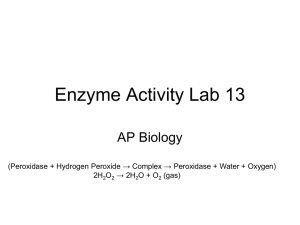 Enzyme Activity Lab 13