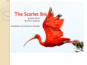 Scarlet Ibis Notes and Assignment