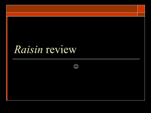 Raisin review