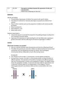 Week 2 Lesson 2 and 3 How genes contribute