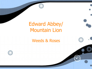 Edward Abbey/ Mountain Lion