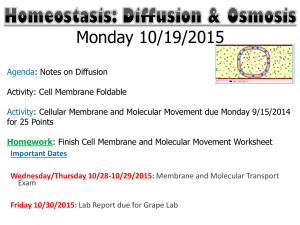 Week 2 Diffusion and Osmosis