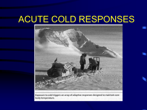 Acute Cold Responses