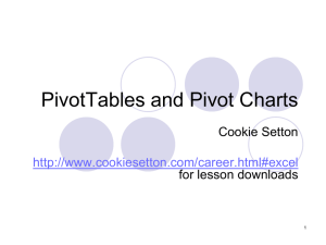 Pivot Tables - Cookie Setton