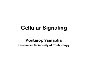 I. Principle of cellular signaling