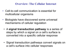 CH 11 PPT Cell Communication